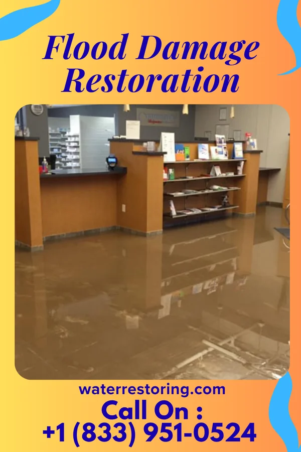 Flood Damage Restoration in Virden, IL