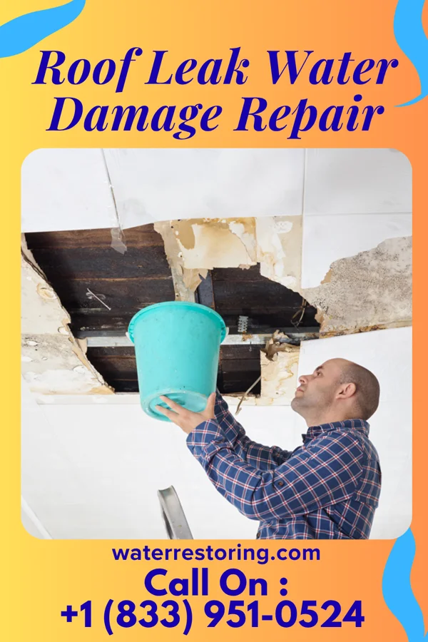 Roof Leak Water Damage Repair in Virden, IL